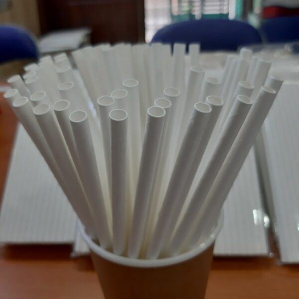 Ống Hút Giấy